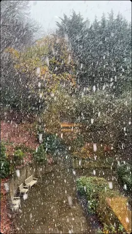 First snow of 2025… and my heart is officially in winter mode ❄️💙 #CapCut #uktiktok #snowfall #firstsnowfall2025 #viraltiktok 