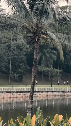 no caption😊 #fyp #sabahancrew_fams  #healing 