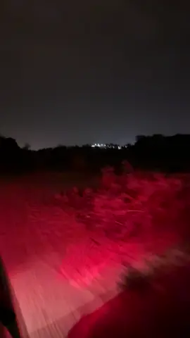 #محمد_بن_فطيس #fyp 