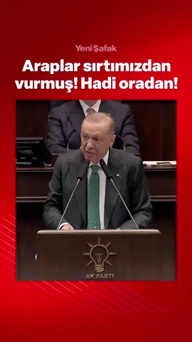 Cumhurbaşkanı Erdoğan: Bize yıllarca aynı masalı anlattılar; neymiş, 'Araplar bizi sırtımızdan vurmuş.' Hadi oradan! #erdoğan #arap #türk #akparti 