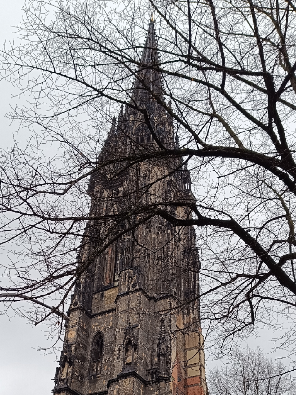 #hamburgo #paisajes #parati #fotografia 