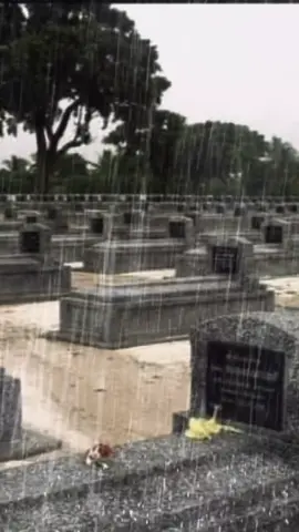 #eelam #tamil #srilanka #srilankan_tik_tok🇱🇰 #maaveerarnaal 