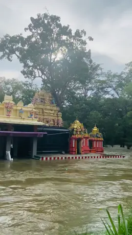 Sella Katharagama 🙏🖤 #CapCut #sellakatharagama #katharagama #ruhunumahakataragamadewalaya 