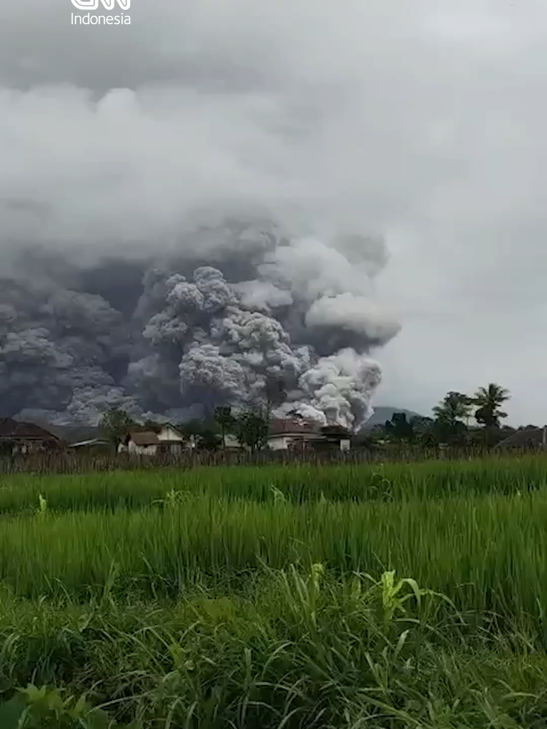 Gunung Semeru yang berada di Kabupaten Lumajang, Jawa Timur mengalami erupsi, Rabu (19/11). Awan panas yang dikeluarkan bahkan mencapai jarak luncur 8,5 kilometer. Kepala Bidang Kedaruratan dan Logistik BPBD Jawa Timur, Satriyo Nurseno mengatakan Semeru mulai mengalami peningkatan aktivitas signifikan pukul 14.13 WIB tadi. 