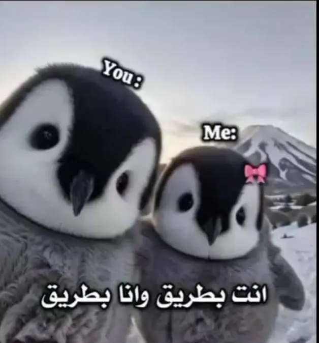 #انت بطريق#وانا بطريق🥲😂👌🏻