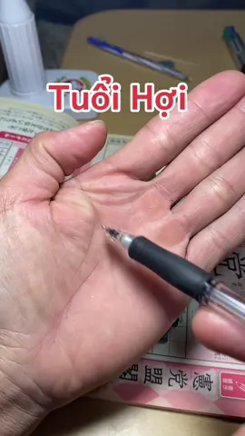 Tuổi Hợi trong năm 2026 nhé các bạn #tuoihoi #tuoihoi1995 #tuoihoi1983 #tuoihoi1971 