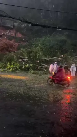 Hiện trường vụ đổ cây đèo mimosa. Lúc 4h10 chiều ngày 19/11 Cảm ơn Lực lượng Chức năng đã có mặt nhanh chóng. #reviewdalat #giatgiaydalat #reviewbđsdalat 