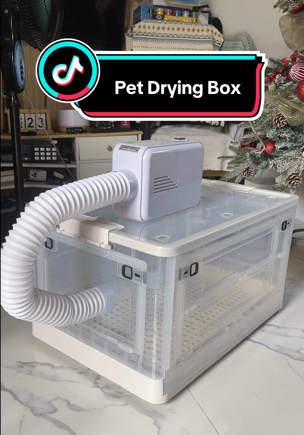 Time saver talaga as a fur parent magpaligo ng pet pag meron ka nitong Pet Drying Box #petdrying #petdryingbox #petdryingmachine #catdryer #petlover 