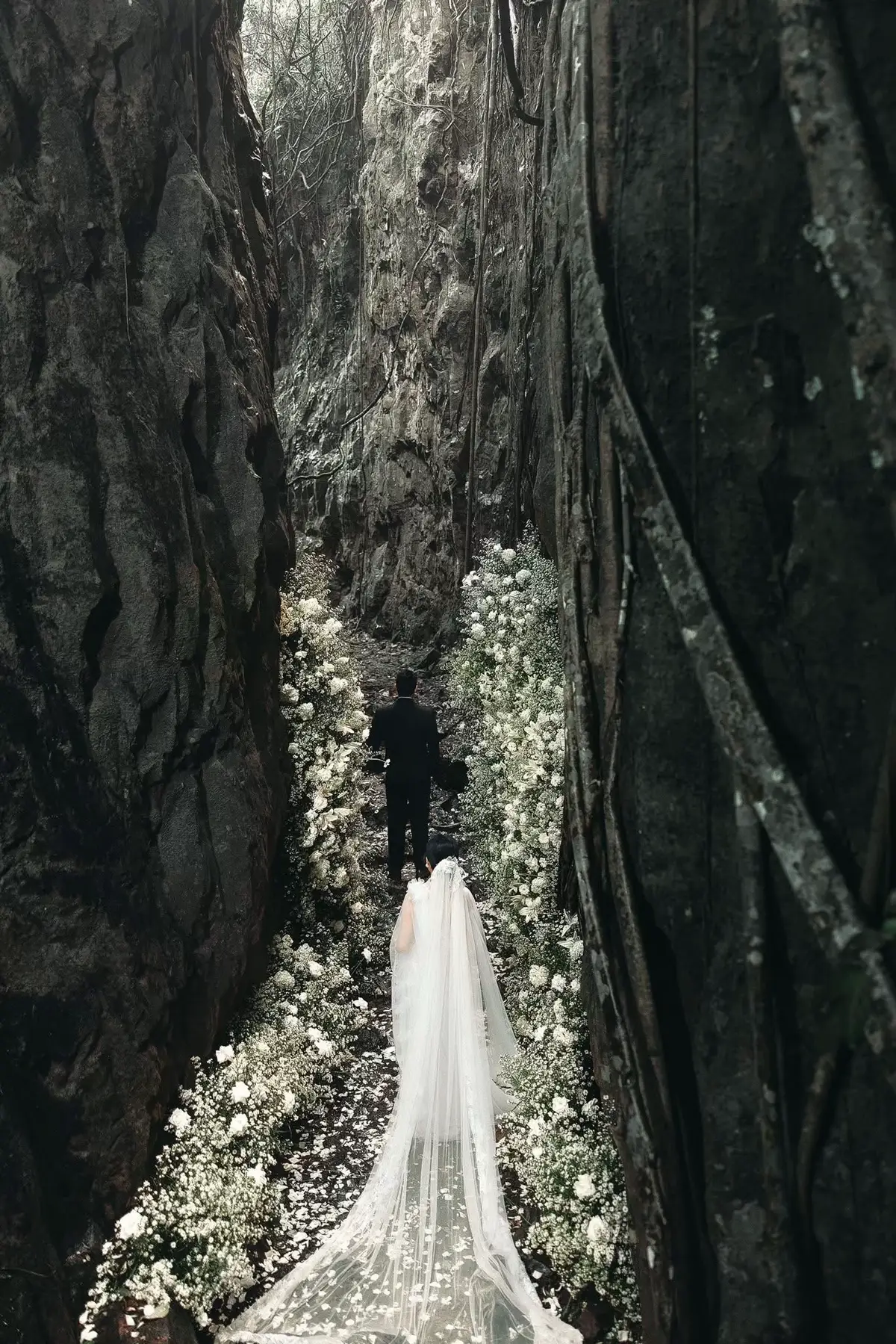 Thác Bảo Đại  T & M       16  .  11  .  2025 Dercor by teamAmi DecorchiemDalat Ami Studio - Đà Lạt