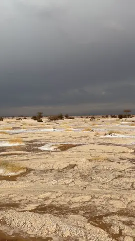 #foryou #امطار #الوسم #الشتاء #greenscreen 