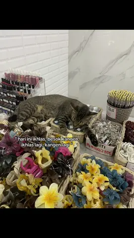 #fyp #fyppppppppppppppppppppppp 