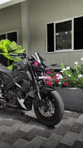 #mt15modified #bikelover #mt15lover4 #mt15 #1milionviews 