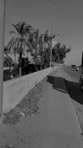 #اسيوط      #القوصيه_بلدنا🦅✌️fypシ           #مجرد________ذووووووق🎶🎵💞 