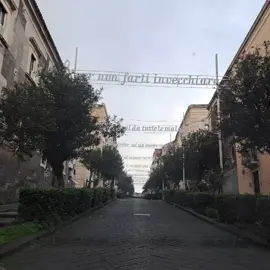 La Via di San Giuliano, Melodia di Luce con La Cura a Battiato ​A Catania, dove l'Etna veglia e il mare sussurra, Via di San Giuliano si accende di una magia unica in questo Natale. Le luminarie non sono solo un addobbo, ma un vero e proprio abbraccio di luce che avvolge la storica arteria, trasformandola in un percorso di meraviglia e riflessione. ​Quest'anno, l'atmosfera si fa ancora più intensa, dalle note di un grande siciliano: il Maestro Franco Battiato. Lungo il cammino scintillante, la melodia inconfondibile di una delle sue canzoni più amate, “La Cura”. ​ #francobattiatoofficial #francobattiatolacura #francobattiato #catania #natale2025 