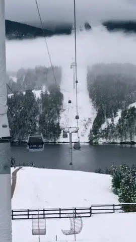 Put u belinu. Sve ostalo može da sačeka. ❄️🚡 #goldgondola #firstsnow #mauntain #snow #zlatibor 