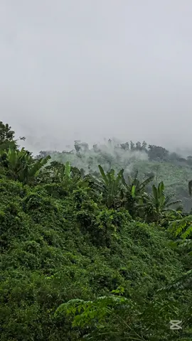 #creatorsearchinsights 