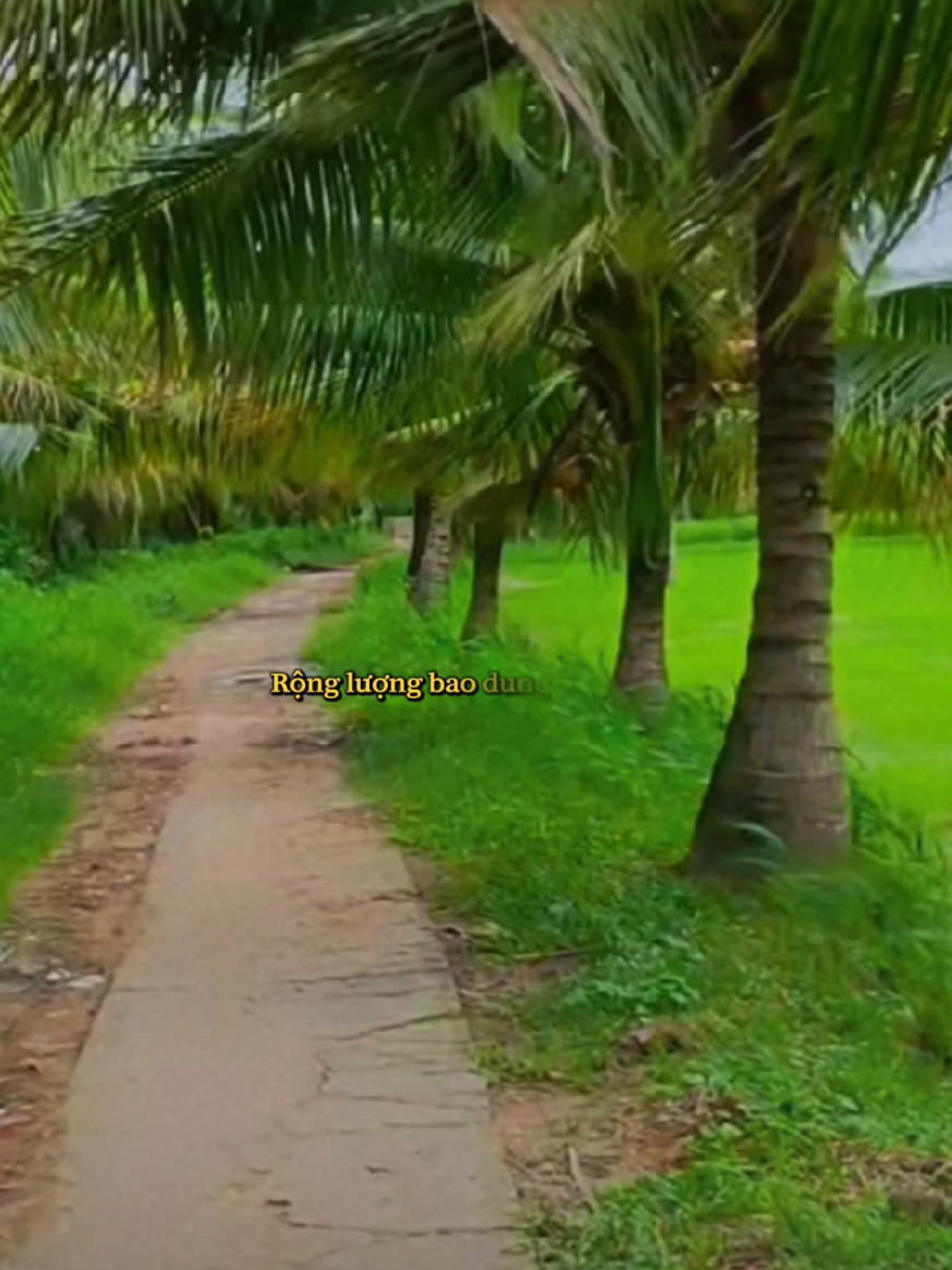 #guiloimuonnoi #xuhuongtiktok #baihoccuocsong #trietlycuocsong #tamtrang 