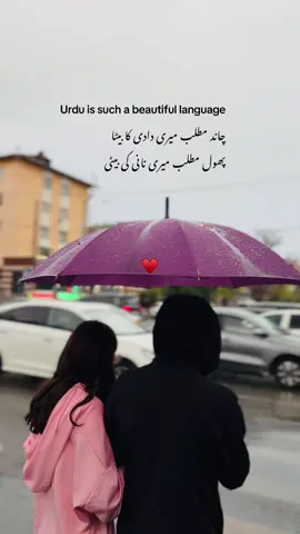 Urdu is such a beautiful language چاند مطلب میری دادی کا بیٹا پھول مطلب میری نانی کی بیٹی #feelistic #unfrezzmyaccount #foryoupage #repost #trendingvideo 
