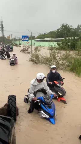 Miền Trung ơi xin đừng mưa nửa nước ngập hết rồi#xuhuong #noc 