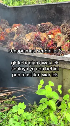 🤣#trending #sawitontiktok #kulisawit #foryou 