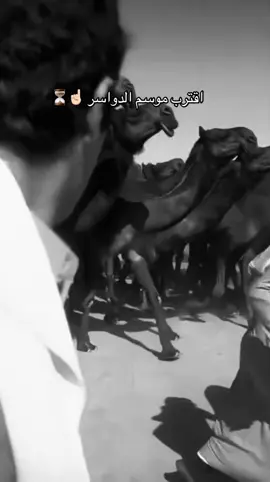 #fyp #fypシ゚ #4u #الدواسر #خطلان_الايدي 