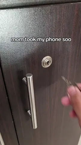 good luck taking my phone #googlepixel #android #techtok #phonecollection 