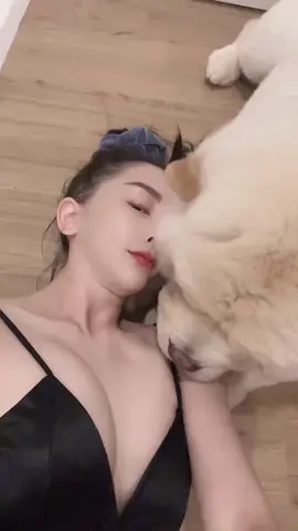 Chú chó🐕 trắng🤣🤣#viral #xuhuong 
