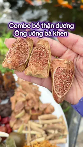 #danongdichthuc #suckhoechomoinguoi #rival #sinhlinam #bothan 