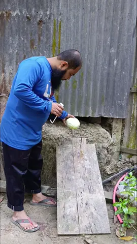 Farming reels. আমি একটি ভিডিও রেকর্ড করি। একটি পাতা কপি উপরে ছুরে মারি সেটি নিচে চিয়ারে পোরে কাঠের তকতায় বারি খেয়ে পানিতে ডুবে যায়।  #farming #dailyshorts #foryou #videoviral #khetibadi 