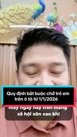 Quy định bắt buộc chở trẻ em trên ô tô từ 1/1/2026 #DoctorHousing #metub