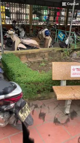 @Imissyou  LBMGB #xhtiktok #nhagiaovietnam #hm 