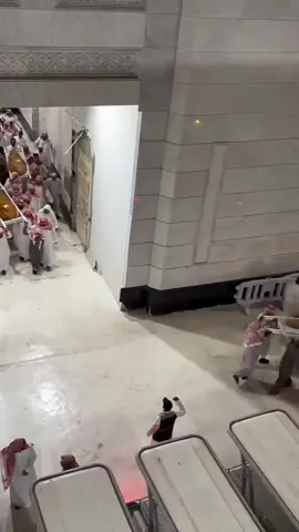 hum waha jake wapis nhi aayenge #madina #macca #islam #saudiarabia🇸🇦 