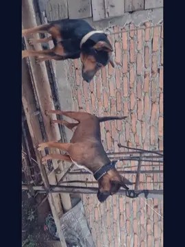 @story,993 team‼️🔥