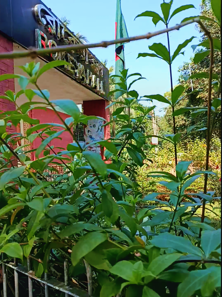 রাজশাহী বিশ্ববিদ্যালয়ের একটুকরা আমার জায়গা😊🥰#fyppppppppppppppppppppppp #foryoupage #rajshahi #ru #support 