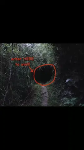 #fyp #fyppppppppppppppppppppppp #discomfortcore #weirdcore #sad 