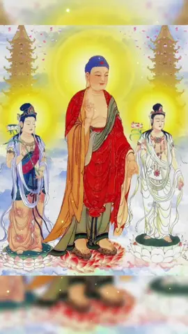 #phapmontinhdo #phatphapnhiemmau #phatphap #trending #xuhướng 