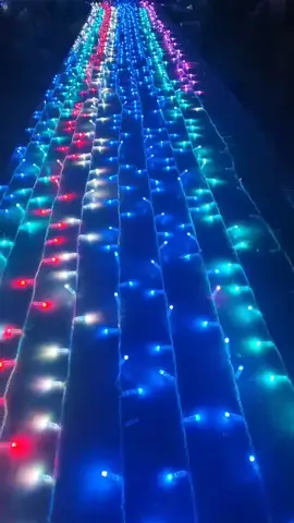 Led dây đa sắc màu#denled#denledtrangtri#denledtrangtritet#denledtrangtringoaitroi#tet2026  