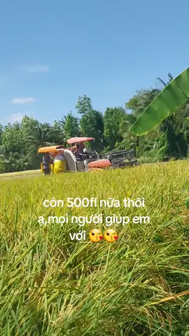 Cảnh đẹp quê em 71🌴🥥😘.mọi người đi quá cho em 1Fl và ❤ với.Em xin cảm ơn 🥰🥰#mebim #đangtapxaykenhtiktok #lienkettiepthi #xuhuongtiktok #71c2bentre🌴 