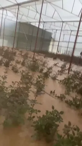 Bao nhiêu công sức😔#lạcduong #xuhuongtiktok 