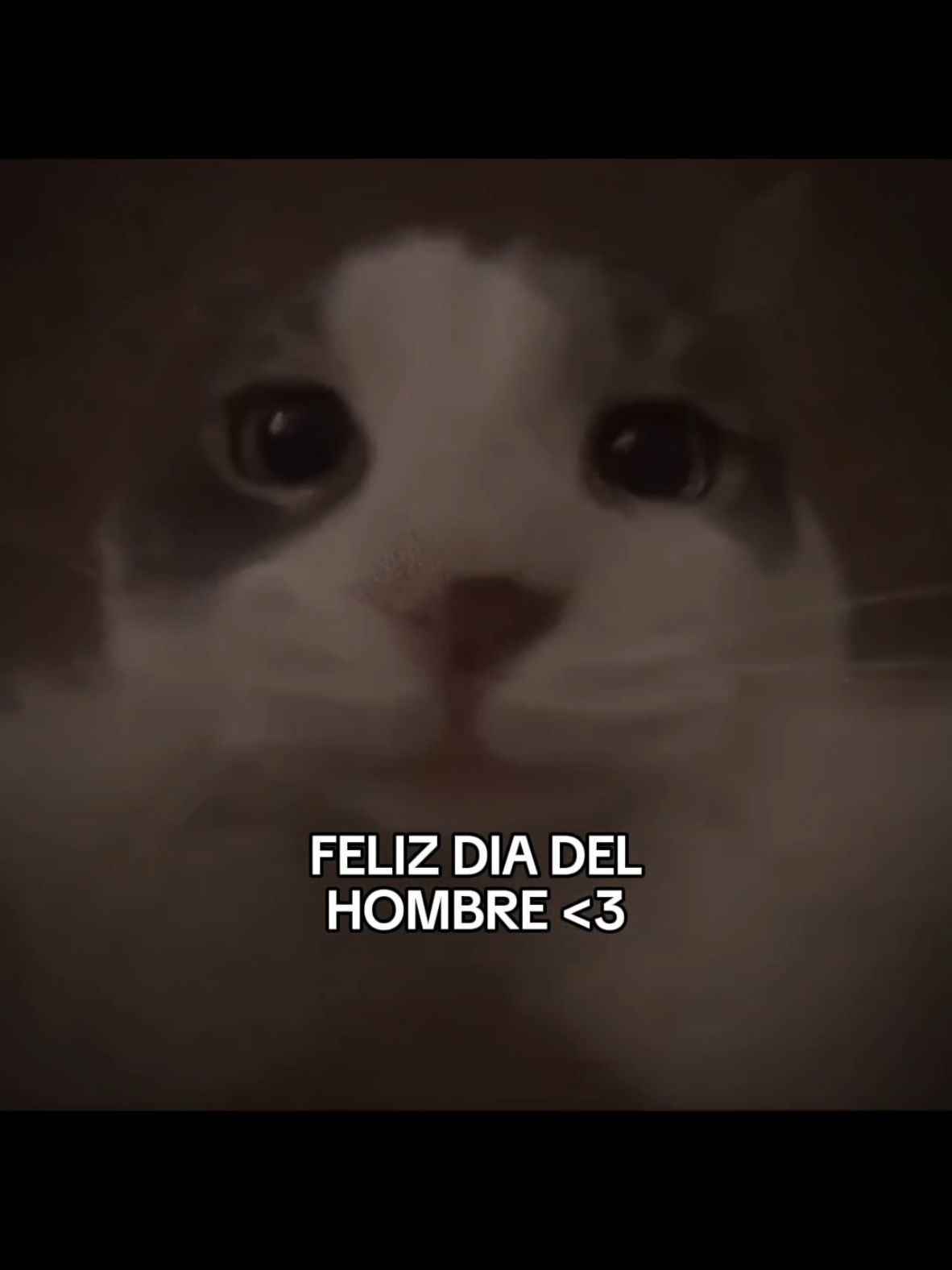 Feliz día del Hombre<3 #dedicar #hombres #parati #19denoviembre #diadelhombre 