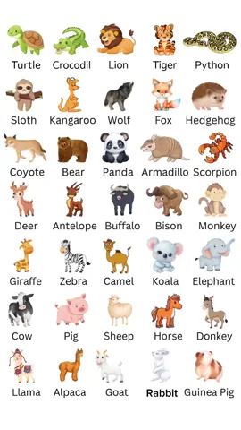 Animal Name#levelup #englishlearning #foryoupage❤️❤️ #vocabulary #fyp 