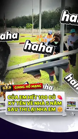 Giám khảo bảo tôi đừng căng thẳng. Nhưng kết quả thì căng thật....Thi xong biết ngay mình hợp đi bộ hơn lái xe. #demnay #demnaylive #hangdumuc #quanglinhvlog