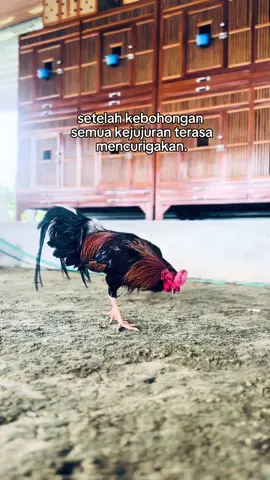 😣#foryou #stasiuntop10🚂 #surabaya #viral 