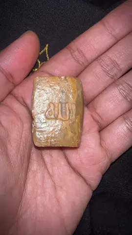 Fosil batu Kitab stambul membatu alam mahar wa 085895468960 #kitabstambul #kitabstambulmembatu #antik 