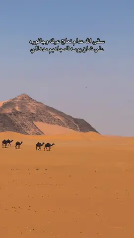 يمال السيل #المريبخ #fyp #explore #اكسبلورexplore 