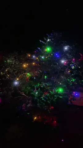 2 Cuộn đèn chớp trang trí mỗi cuộn 40m #linhlacquann #denchop #dennhay #dentrangtri #xuhuong 