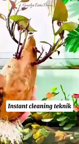 #tipsandideas #lifehacks #highlight #tiktokfollower #follower 