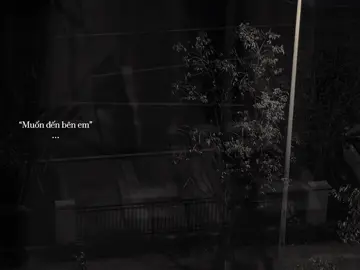 Vẫn chưa quên được họ phải không..?#nmh_20th5 #nhachaymoingay #nhactamtrang #xh 