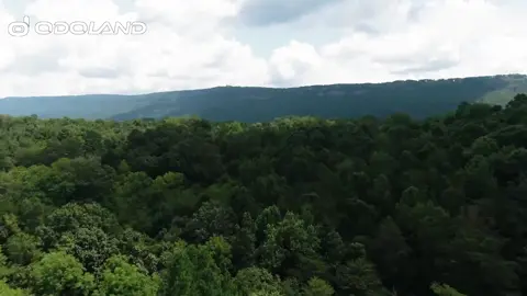 just copy the link in your browser and get the product  https://amzn.to/4869SQT https://amzn.to/4869SQT https://amzn.to/4869SQT https://amzn.to/4869SQT  Odoland 10pcs Camping Cookware Non-Stick Camping Pot/Camping Cookware Set You Need? Why it works: It's a bold, direct question that targets the core desire of campers and hikers: simplicity and efficiency. It promises a definitive answer and positions the product as an all-in-one solution. Packing for a camping trip and tired of juggling random pots and pans? I tested the Odoland 10-Piece Camping Cookware Set to see if this lightweight, all-in-one kit is the ultimate solution for backpacking and outdoor cooking. In this video, I unbox it, weigh it, and see if it has everything you need to cook a real meal in the wild. ➡️ Check it on Amazon: [ https://amzn.to/4869SQT] What I cover: 0:00 The Problem with Camping Kitchen Gear 0:45 Unboxing the 10-Piece Set 1:30 How Small & Light Is It? (The Scale Test) 2:15 Testing the Non-Stick Pan 3:00 Does It All Fit in the Bag? 3:30 Final Verdict: Best for Backpacking or Car Camping? 