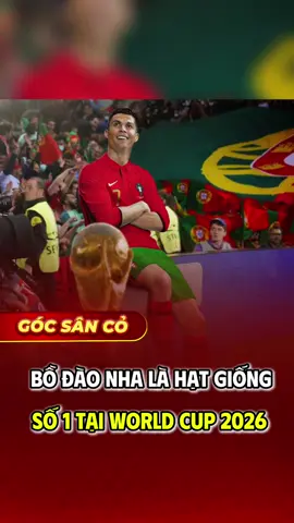 Bồ Đào Nha là hạt giống số 1 tại World Cup 2026 #mansports #tintuc #tinhot #bongda